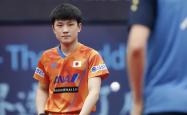 开云体育下载-法国乒乓球队轻取波兰乒乓球队，张本智和高光表现的简单介绍