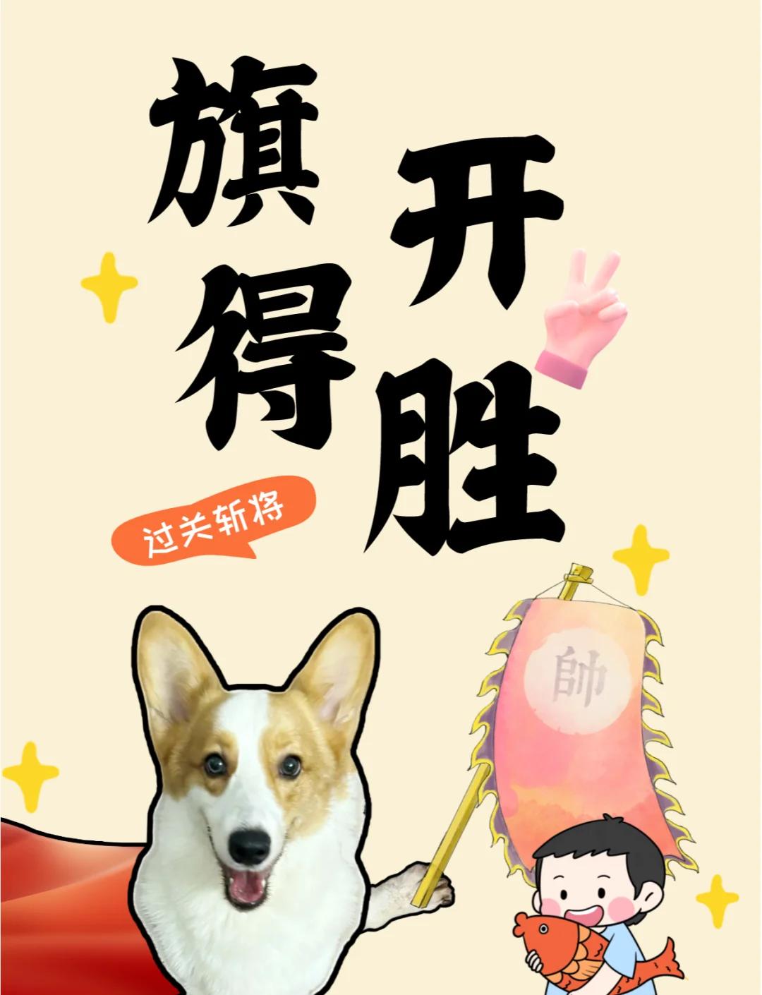 包含芬兰队奋力拼搏，冲刺胜利的词条
