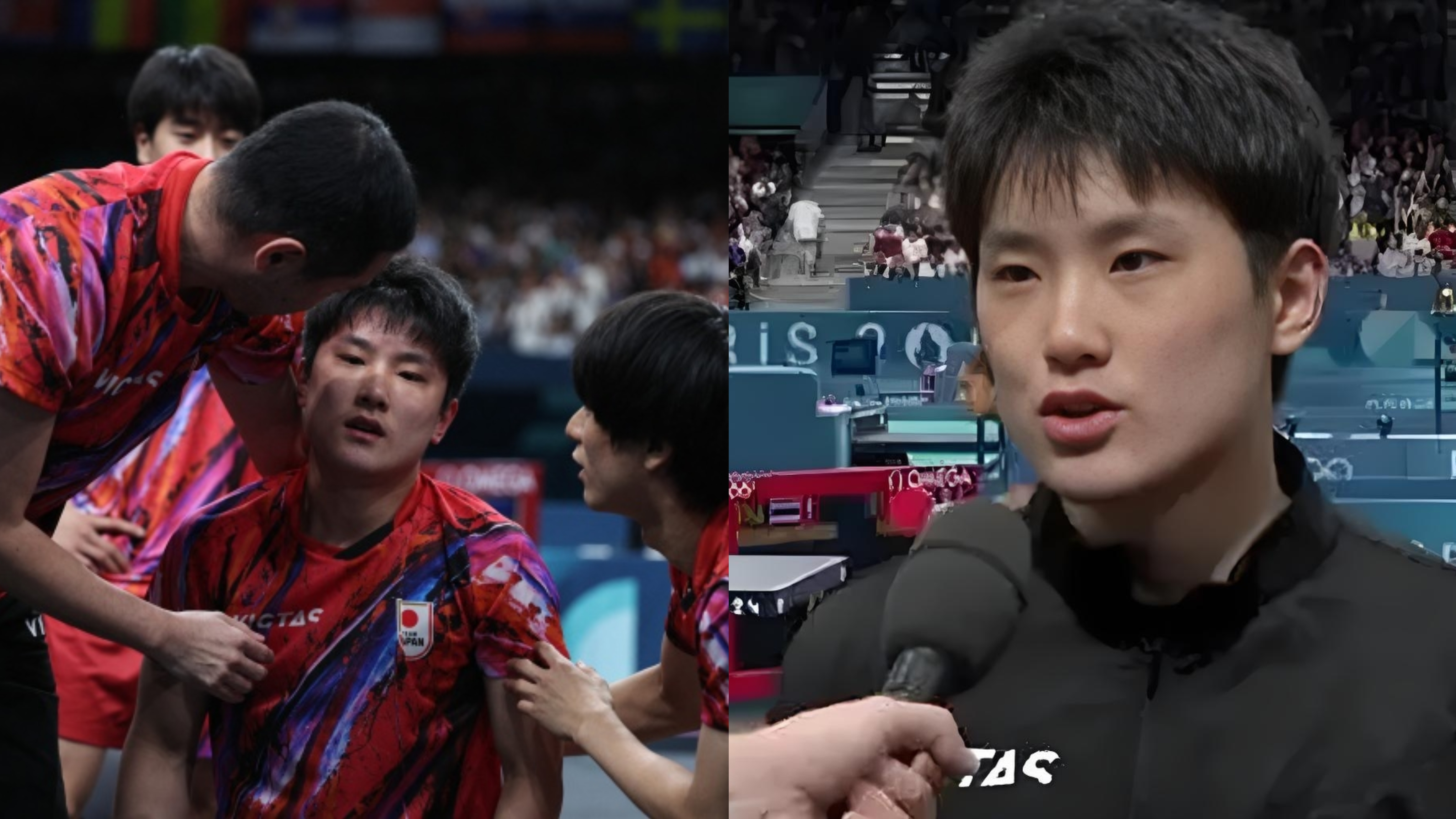 中国队轻取日本队,张本智和高光表现 中国队轻取日本队,张本智和高光表现